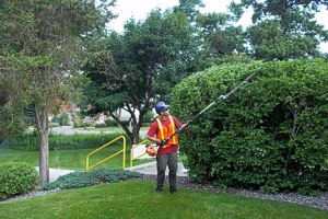 Lawn mowing